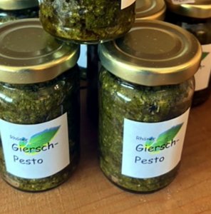 Rhöner Gierschpesto