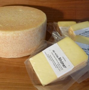 Käse aus Kuhmilch